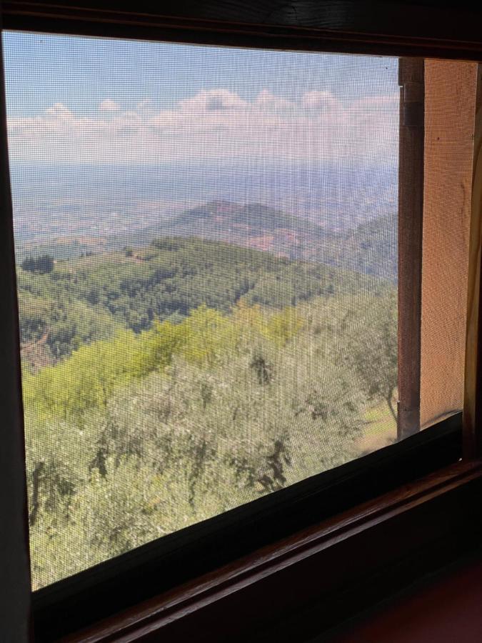 Podere Il Poggio Avaglio 外观 照片