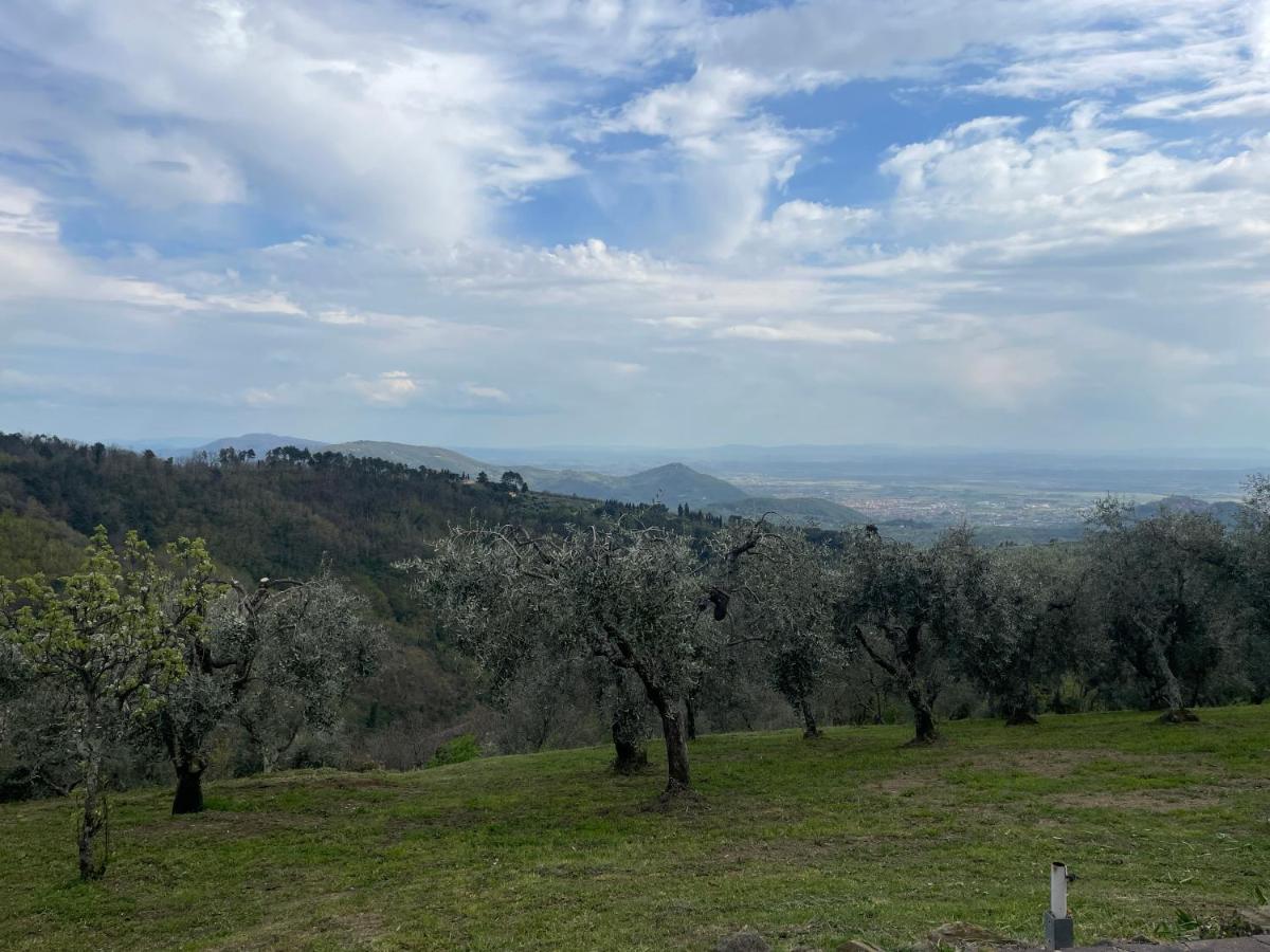 Podere Il Poggio Avaglio 外观 照片